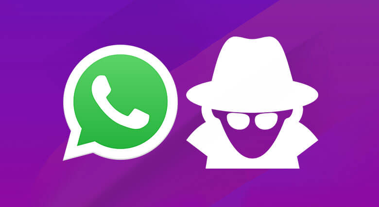 monitorar o whatsapp